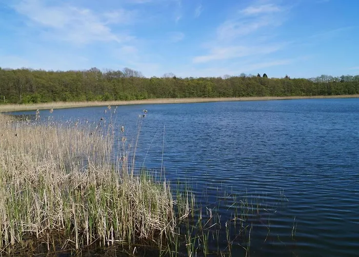 Small House On The Appartement Leisten (Mecklenburg-Vorpommern)